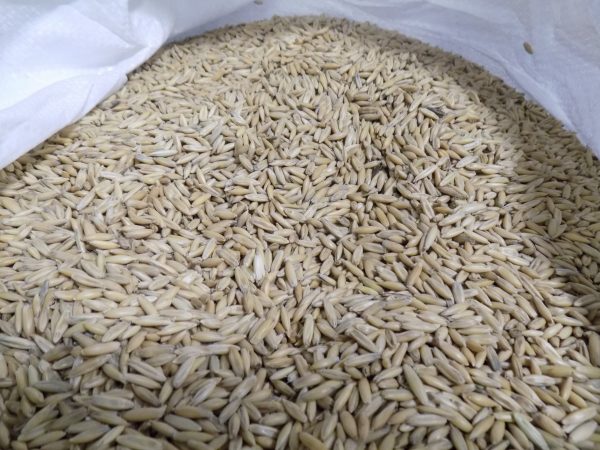 Cleaned Oats